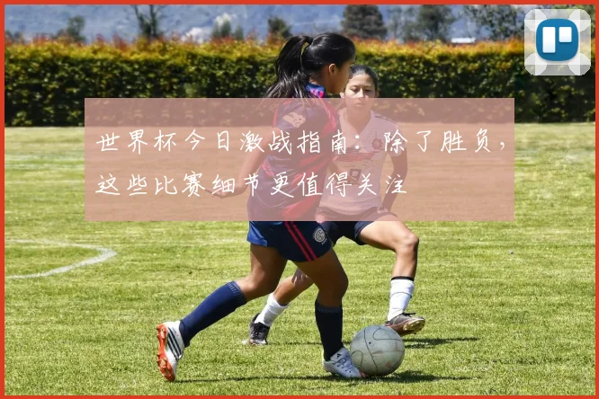 世界杯今日激战指南:除了胜负,这些比赛细节更值得关注