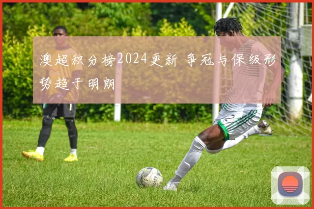 澳超积分榜2024更新 争冠与保级形势趋于明朗