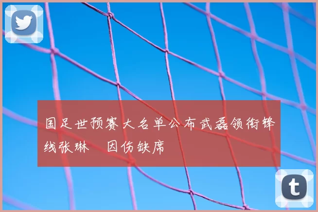国足世预赛大名单公布武磊领衔锋线张琳芃因伤缺席