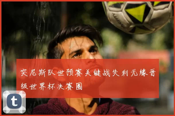 突尼斯队世预赛关键战失利无缘晋级世界杯决赛圈