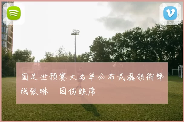 国足世预赛大名单公布武磊领衔锋线张琳芃因伤缺席