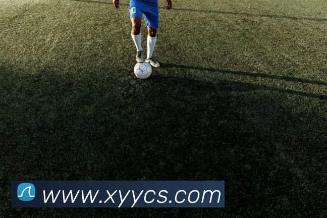 滚球官网app(中国)有限公司 - 官网APP 封面图